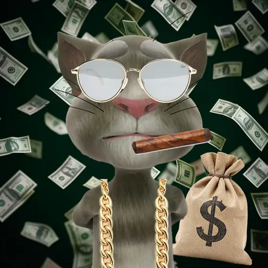 The cat in a money rain